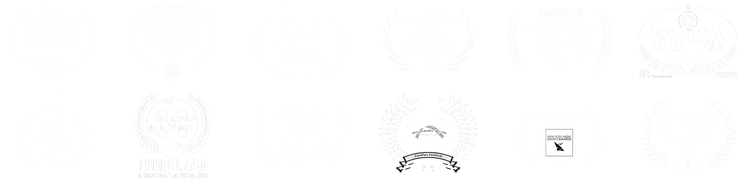 Any Day (Cualquier Día) official festival laurels — 4 wins, 3 nominations, 12 international selections